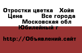 Отростки цветка  “Хойя“ › Цена ­ 300 - Все города  »    . Московская обл.,Юбилейный г.